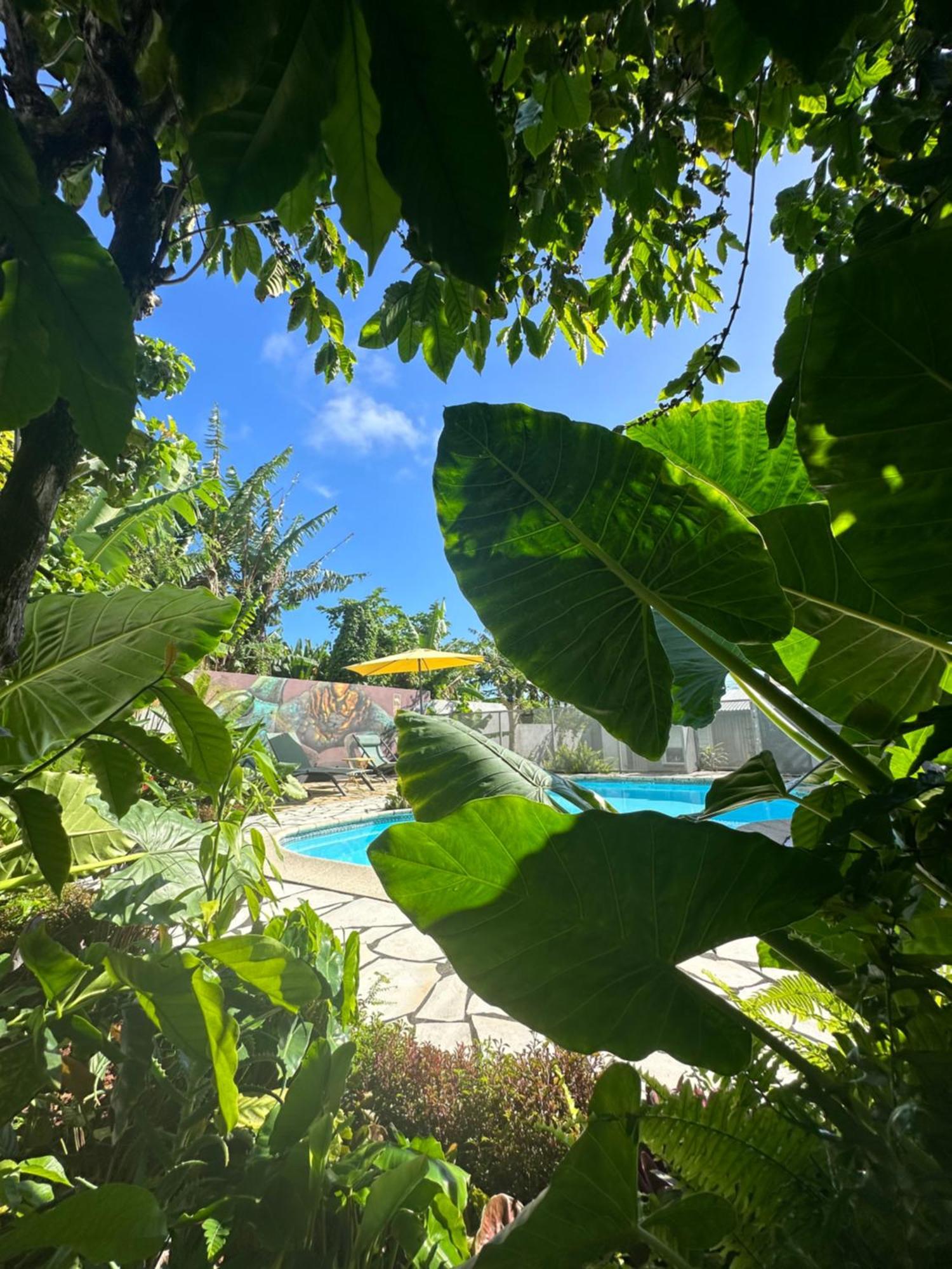 Lendormi - Maison Avec Piscine - Sainte Rose 外观 照片
